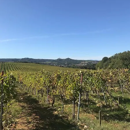 Provencale Avec Piscine Et Grand Jardin Semesterbostad *